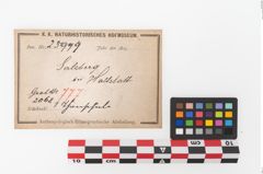 Etiketten zu Keramikgefäß (NHMW-PRAE-025999)